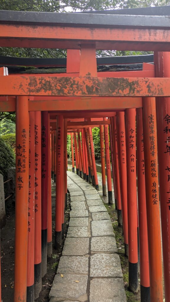 Toriis en el Santuario Nezu