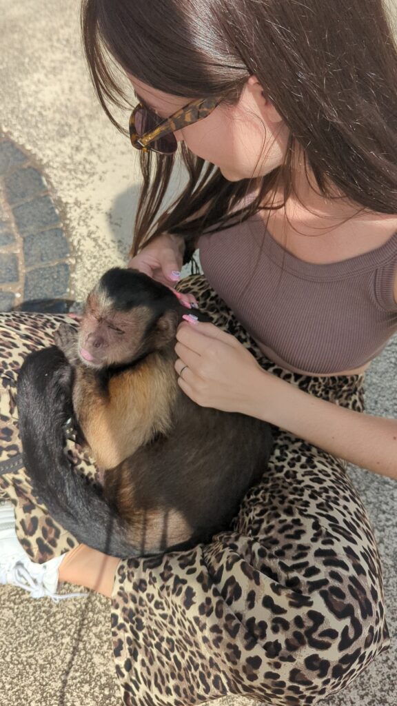Monito en el parque Ueno